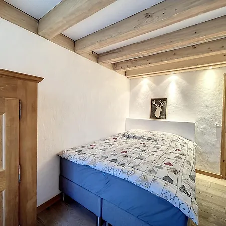 Superbe 3 Pieces Avec Balcons En Plein Coeur De - Parking, Wifi, Lave-linge - Fr-1-560-106 Apartment Combloux
